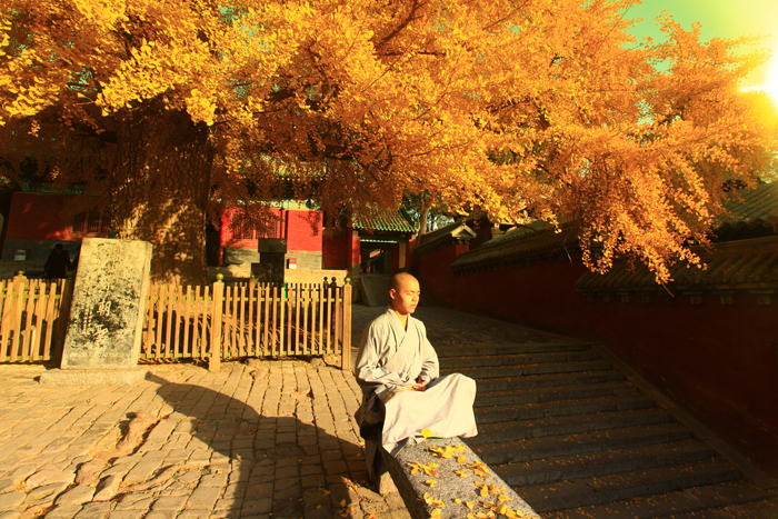 （登封）第十一屆少林武術節(jié)10月16日至20日舉行，今年亮點是……